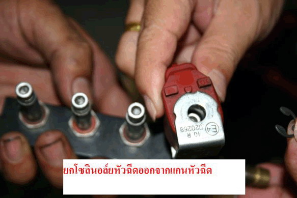 Image is not available